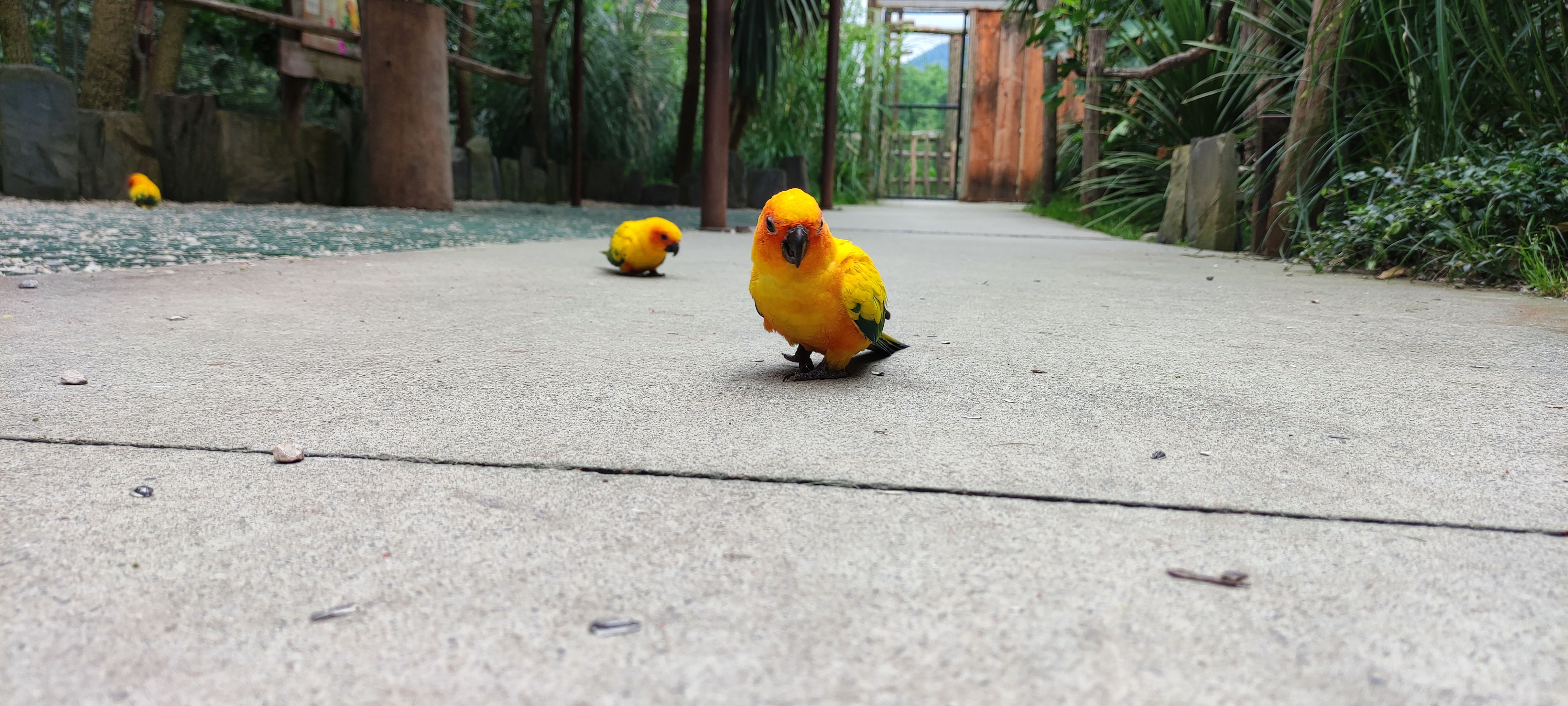 Photo n° 6 de l'avis de Aurélie.i fait le 15/07/2021 à 17:00