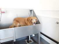 Centinela Feed & Pet Supplies - Photo 8 - Car repair in Fullerton, CA, Long Beach