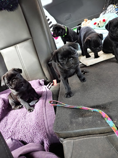 230 Ocean Ave, Raymond, WA 98577, USA