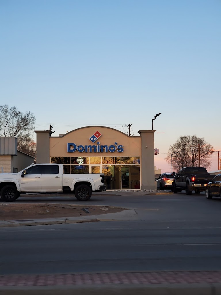 Domino's Pizza 81101