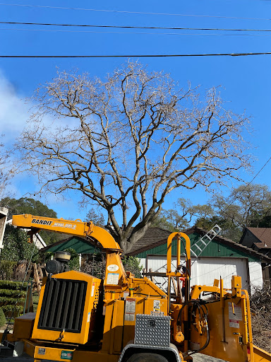 Brothers Services Tree Care Inc