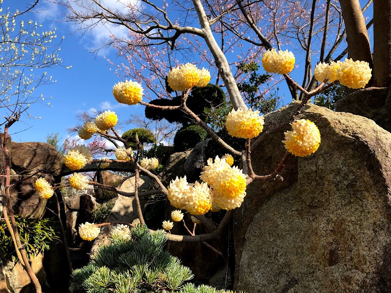 癒しの庭園