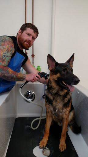 Pet Supply Store «Healthy Pet Center», reviews and photos, 775 New Loudon Rd, Latham, NY 12110, USA