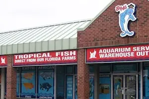 Big Al's Aquarium Supercentres - Newmarket image