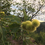 Photo n°11 de l'avis de Roberta.u fait le 29/08/2019 à 23:09 sur le  Cascina Respaù à Como