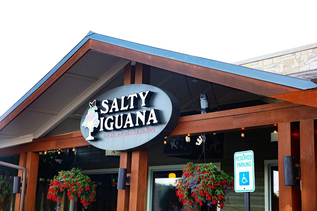 Salty Iguana 66208