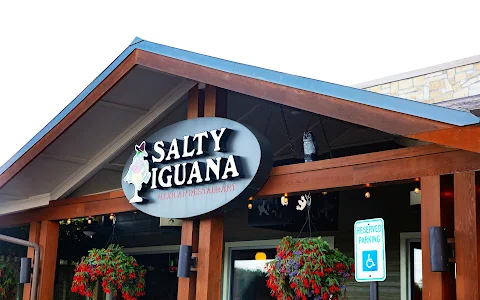 Salty Iguana image