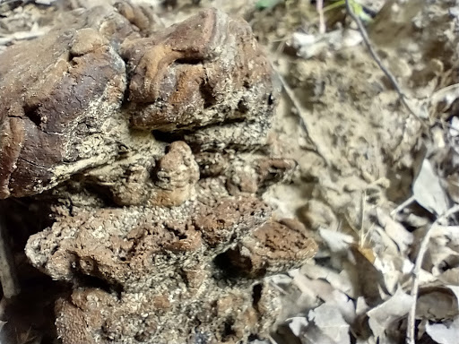 Golf Course «California Golf Course», reviews and photos, 5924 Kellogg Ave, Cincinnati, OH 45228, USA