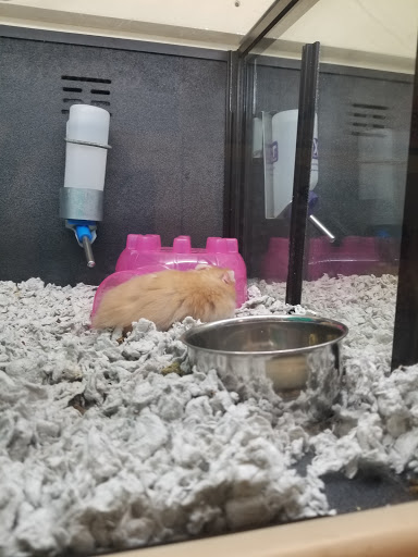 Pet Supply Store «PetSmart», reviews and photos, 1801 Howell Mill Rd NW, Atlanta, GA 30318, USA