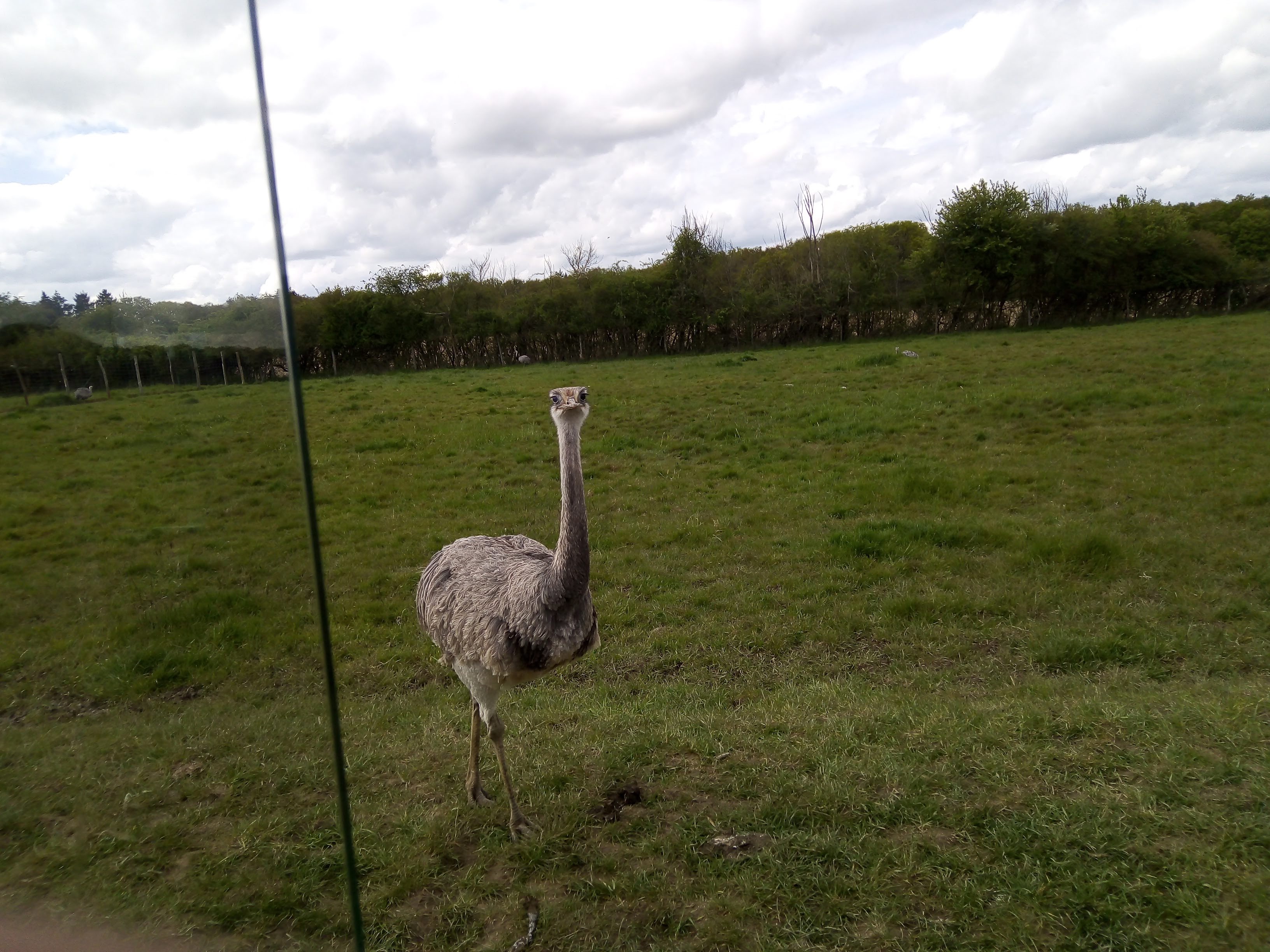 Photo n° 1 de l'avis de Nathalie.l fait le 13/05/2023 à 23:14