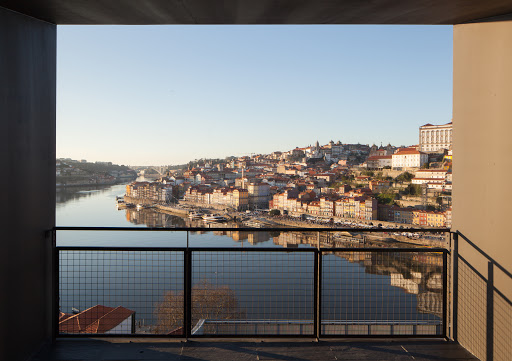 Accommodation go with dogs Oporto