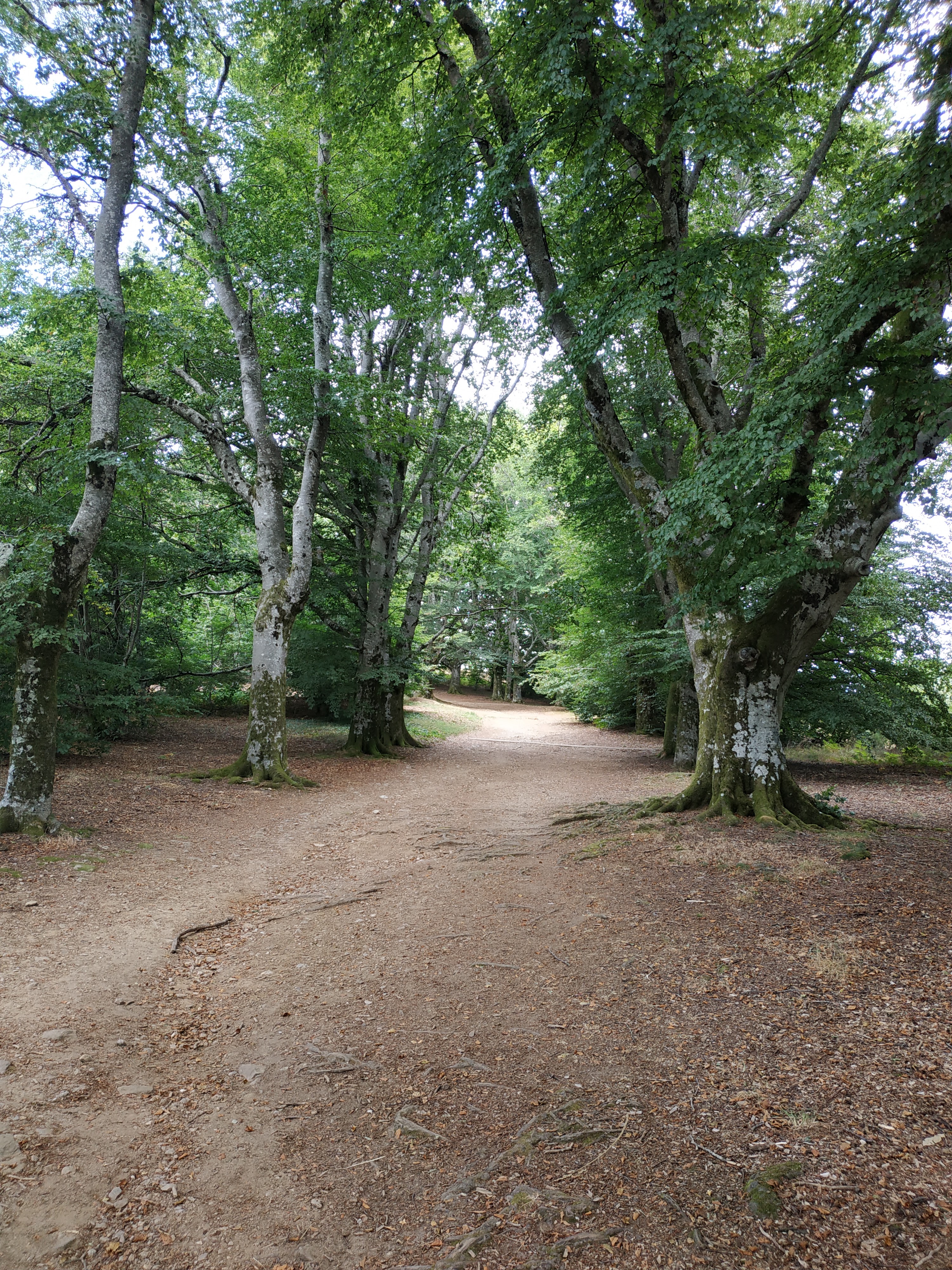 Photo n° 1 de l'avis de LEMARCHAND.a fait le 12/08/2020 à 18:30