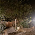 Photo n°5 de l'avis de C... fait le 19/08/2023 à 22:17 sur le  Su Meriacru | Cucina Identitaria à Siniscola