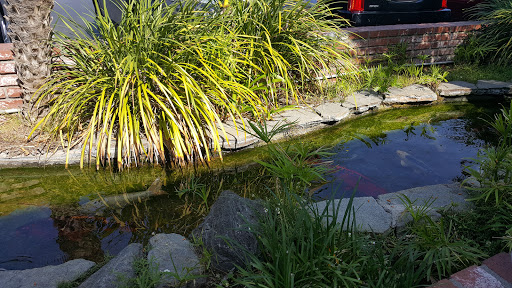 Car Wash «Red Carpet Car Wash», reviews and photos, 2414 N Sepulveda Blvd, Manhattan Beach, CA 90266, USA