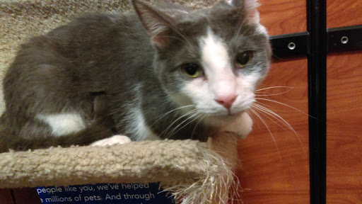 Pet Supply Store «PetSmart», reviews and photos, 3610 Rosecrans St, San Diego, CA 92110, USA