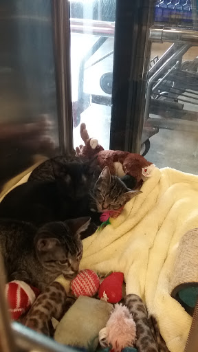 Pet Supply Store «PetSmart», reviews and photos, 300 N Congress Ave, Lake Park, FL 33403, USA