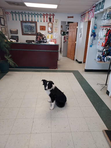 Craig Veterinary Hospital image