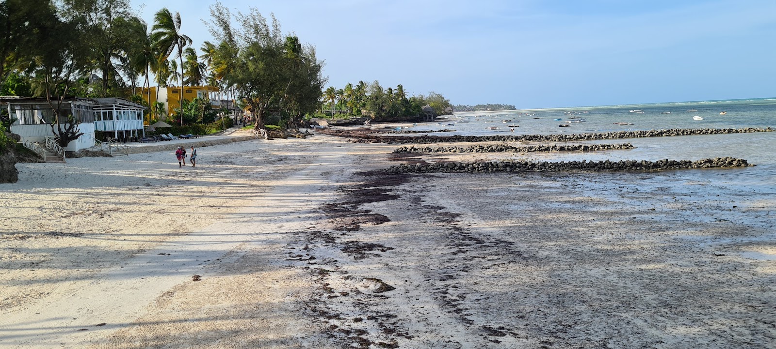 Zdjęcie Five Palms Beach z powierzchnią jasny, drobny piasek