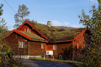 Odd Skjelde Hytteutleige