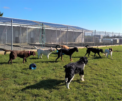 Lornewood Kennels