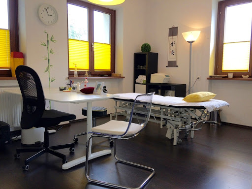 Praxis für Akupunktur-TCM Dr. Marina Mayer Innsbruck Land