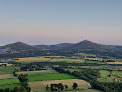 Carrickgollogan Hill - Viewing Rock