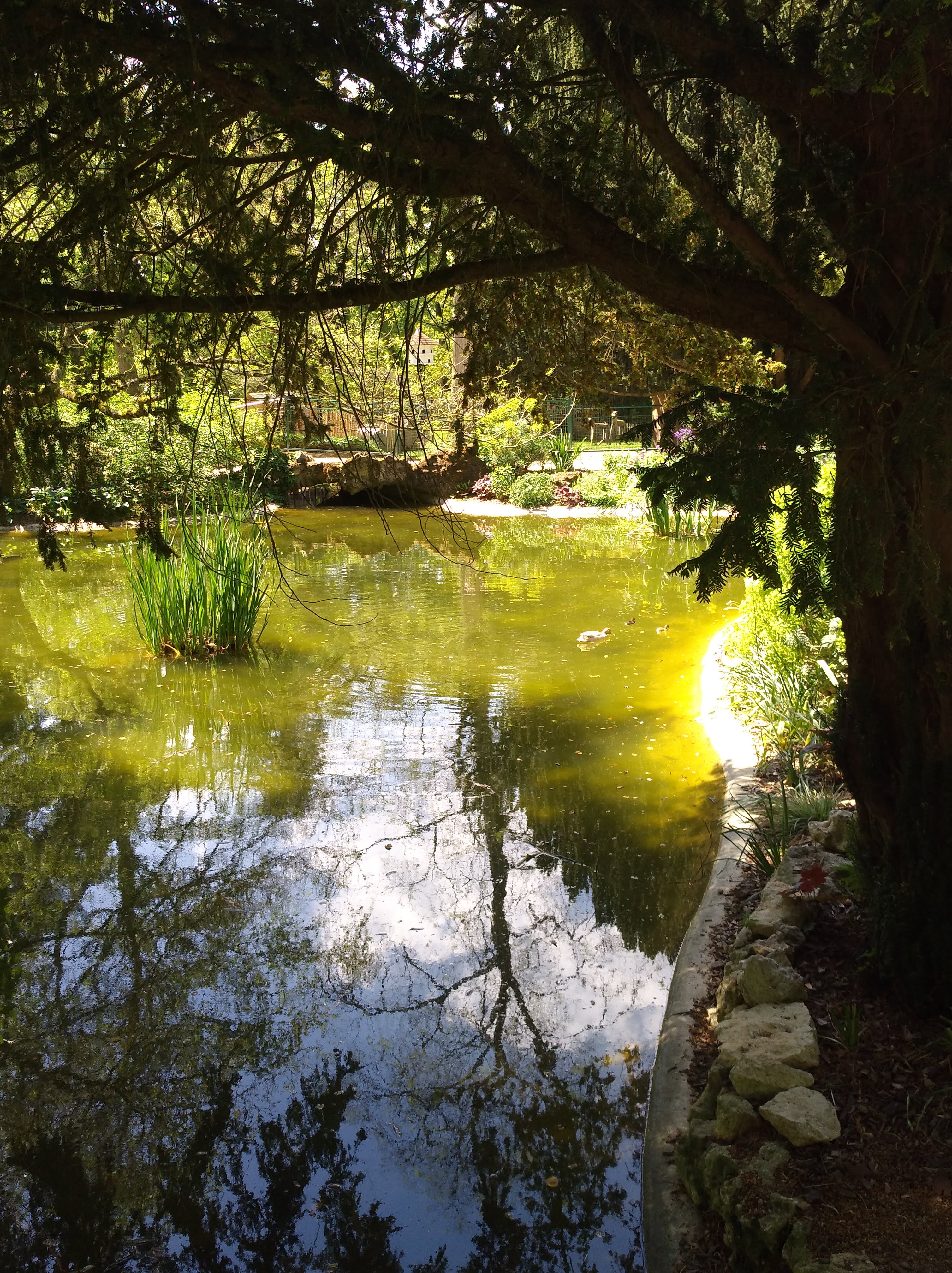 Photo n° 10 de l'avis de valérie.e fait le 11/05/2018 à 20:00