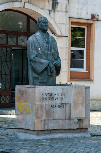 Statuia lui Constantin Daicoviciu - Muzeu