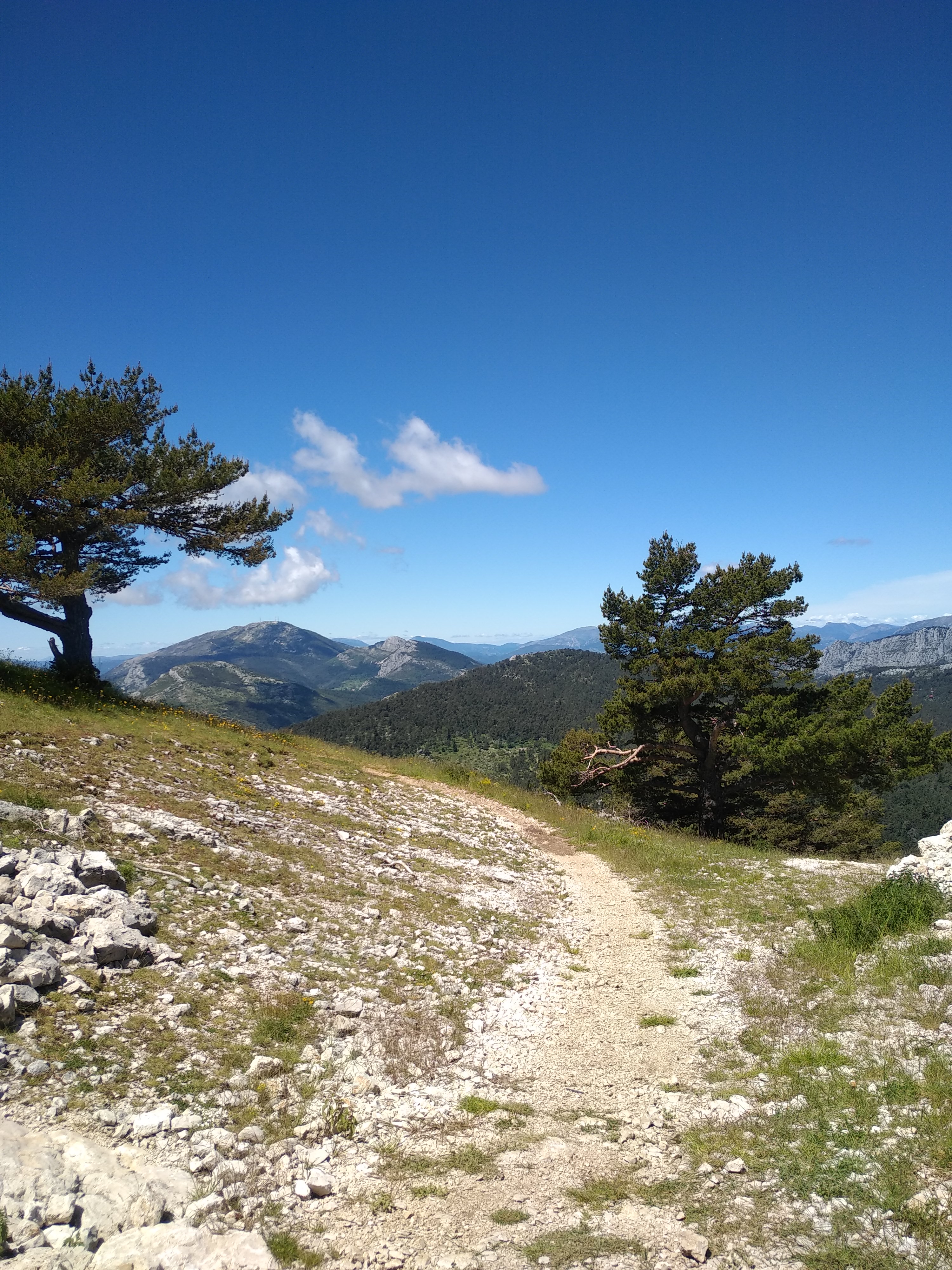 Photo n° 2 de l'avis de Hugues.u fait le 07/06/2020 à 03:25