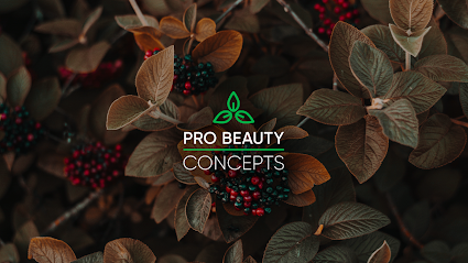 Pro Beauty Concepts US