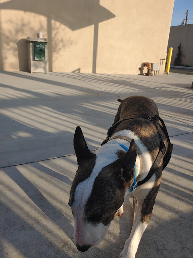 712 Glendora Ave, La Puente, CA 91744, USA