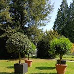 Photo n°7 de l'avis de Jens.u fait le 29/05/2023 à 08:03 sur le  Château de Rammenau à Rammenau