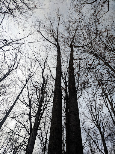 Park «Fairfax Villa Park», reviews and photos, 11399 Park Dr, Fairfax, VA 22030, USA