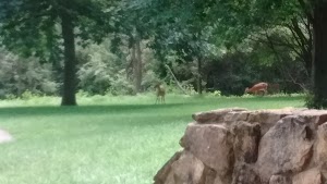 Fort Des Moines Park - photo 82