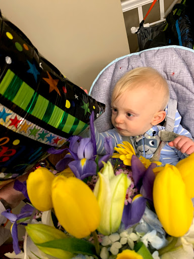 Florist «Fairview Park Florist», reviews and photos, 3141 Fairview Park Dr, Falls Church, VA 22042, USA