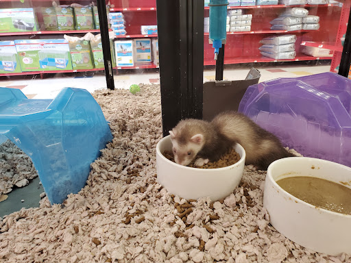 Pet Supply Store «Petco Animal Supplies», reviews and photos, 169 Parkingway, Quincy, MA 02169, USA