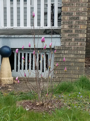 Tobacco Shop «Cheap Tobacco and Vape», reviews and photos, 17008 Madison Ave, Lakewood, OH 44107, USA