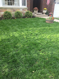 JD FLORES LANDSCAPING INC - Photo 5 - Car repair in , Chicago