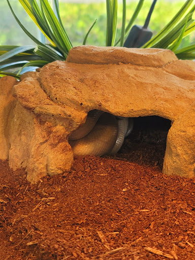 Sand Bar Pet Shop image
