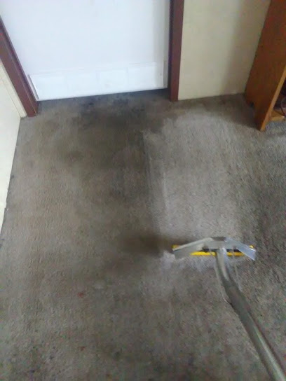 Dry n clean carpet cleaning