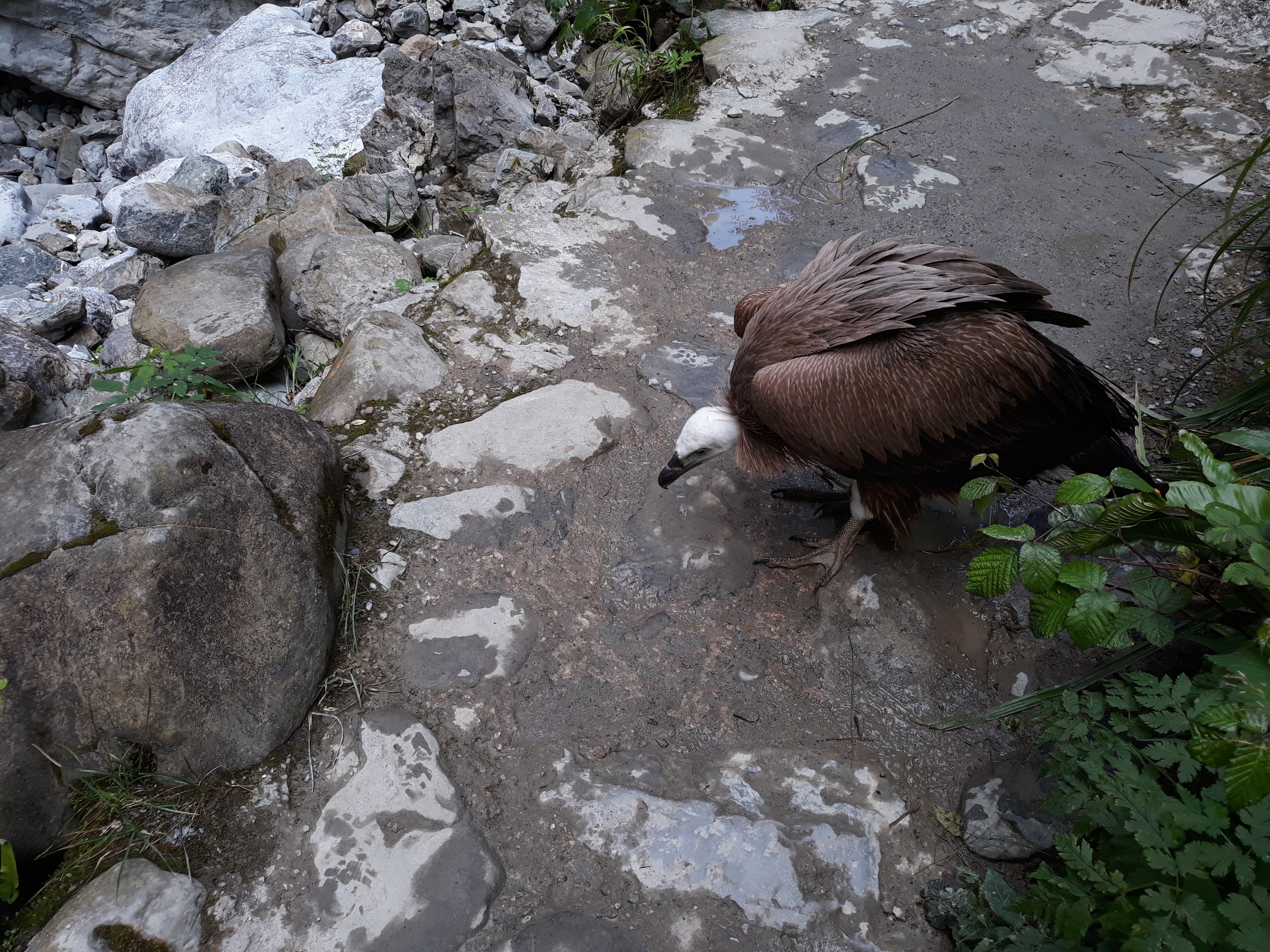 Photo n° 2 de l'avis de johan.e fait le 25/07/2018 à 08:06