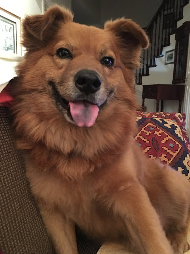 Pet Supply Store «California Pet Center», reviews and photos, 21906 Ventura Blvd, Woodland Hills, CA 91364, USA