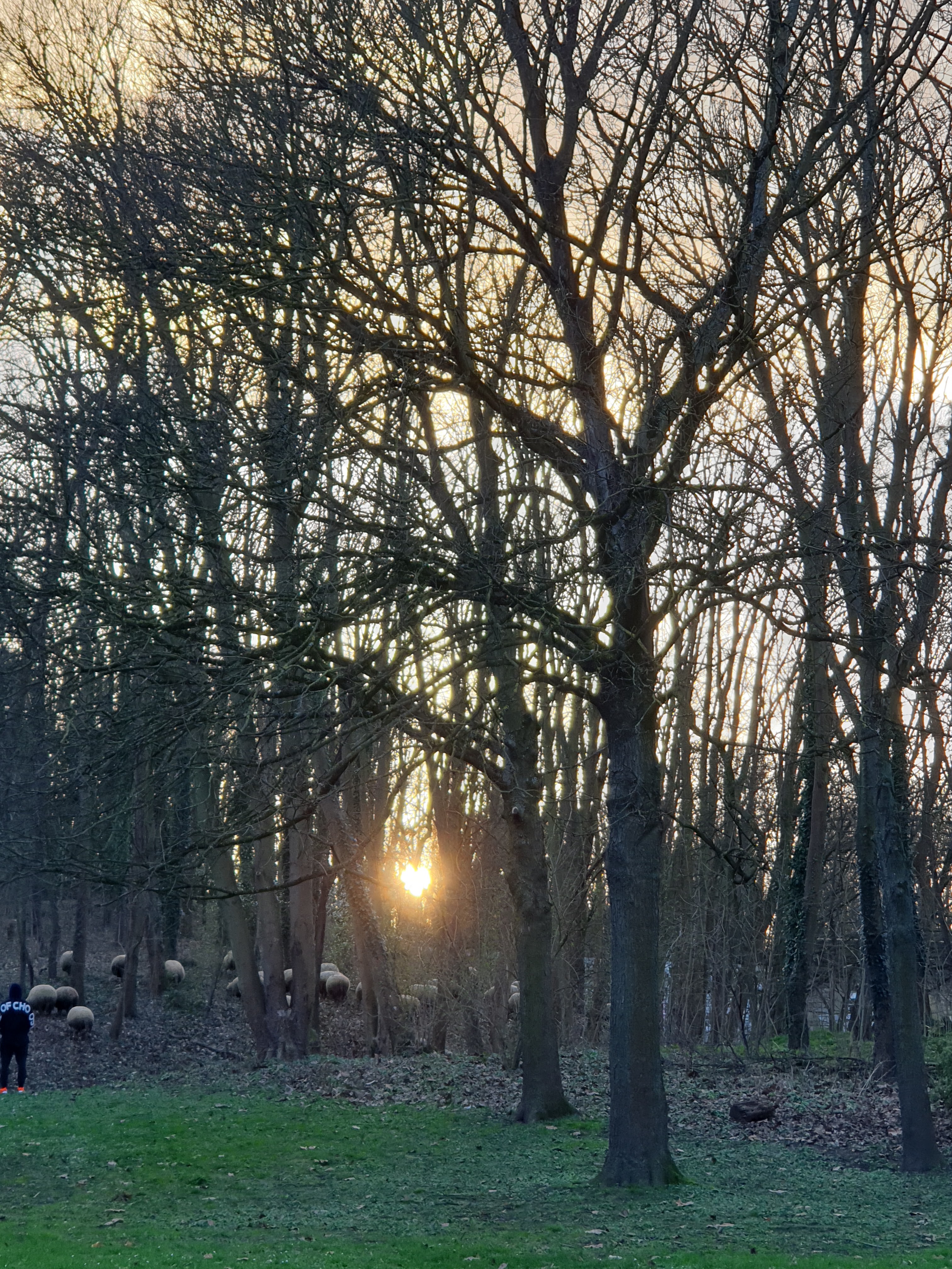 Photo n° 37 de l'avis de Maria.o fait le 01/01/2018 à 17:41