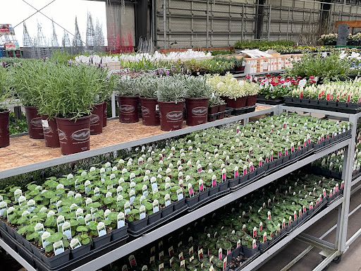 Hardware Store «McLendon Hardware», reviews and photos, 11307 Canyon Rd E, Puyallup, WA 98373, USA