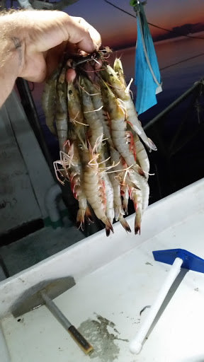 Seafood Market «Satsuma Seafood», reviews and photos, 29923 S Satsuma Rd, Livingston, LA 70754, USA