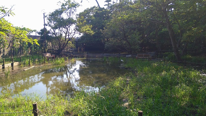 下藤が谷公園の池
