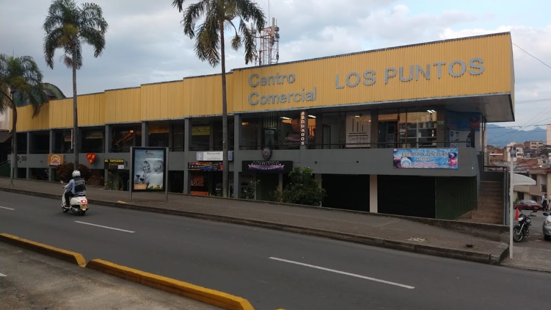 Auto Repuestos Pereira