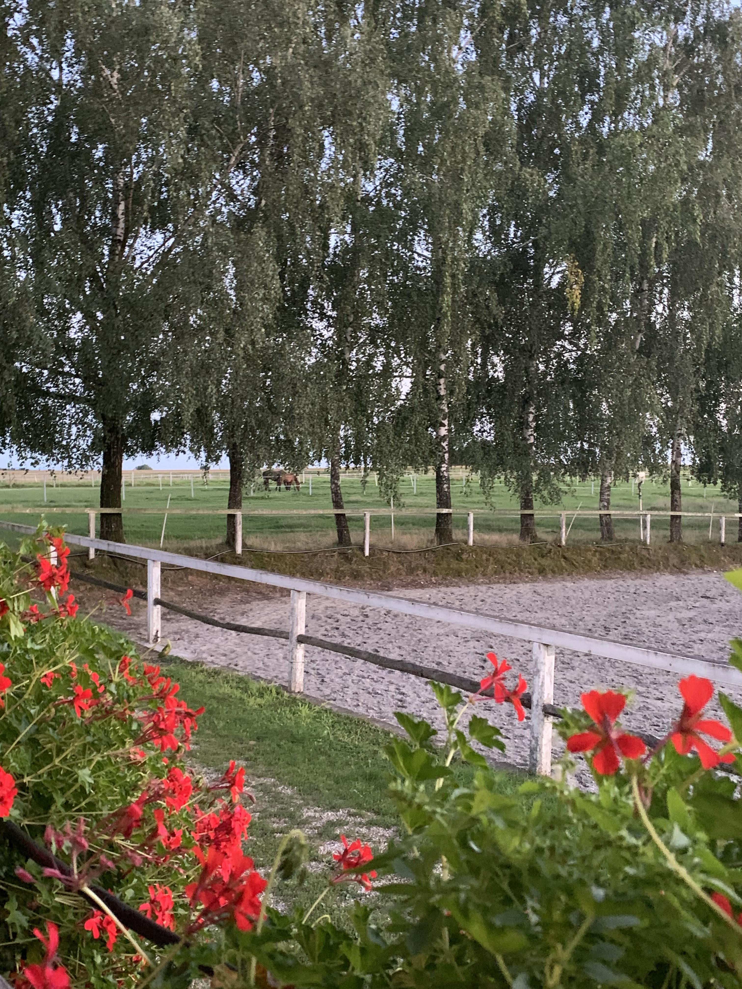 Photo n° 3 de l'avis de König.u fait le 01/10/2023 à 16:42