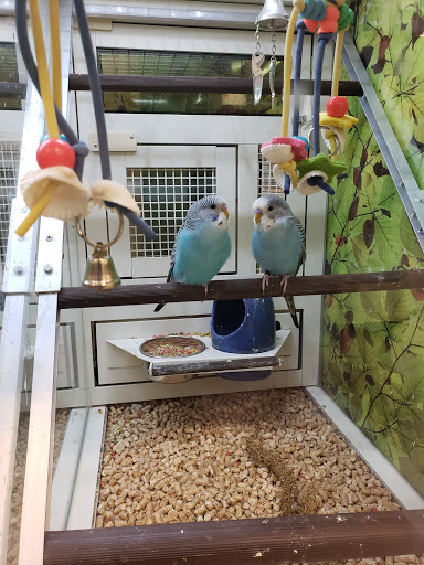 Pet Supply Store «PetSmart», reviews and photos, 4240 S Mooney Blvd, Visalia, CA 93277, USA