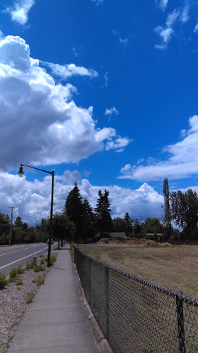 Grocery Store «Lucky Market & Deli», reviews and photos, 2830 Sunset Dr, Forest Grove, OR 97116, USA